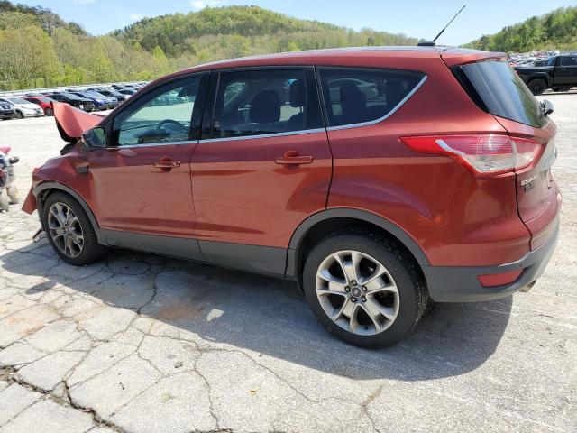 Photo 1 VIN: 1FMCU0JX7EUC99544 - FORD ESCAPE 