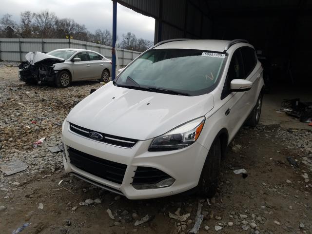 Photo 1 VIN: 1FMCU0JX7FUB70768 - FORD ESCAPE 