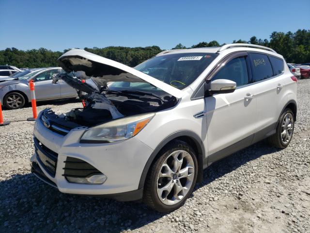 Photo 1 VIN: 1FMCU0JX8EUA86246 - FORD ESCAPE TIT 