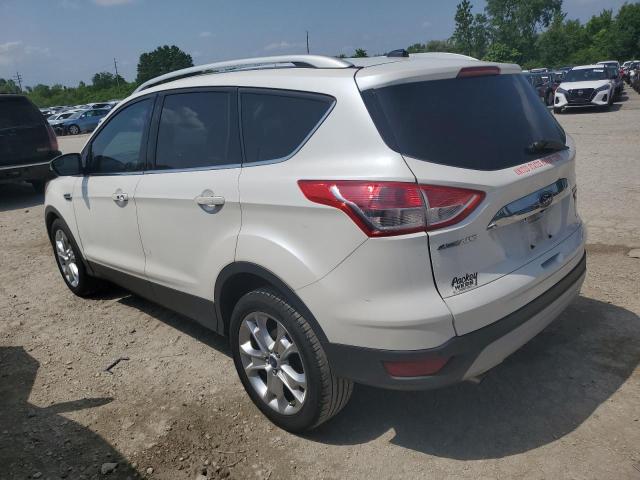 Photo 1 VIN: 1FMCU0JX9EUA29358 - FORD ESCAPE 