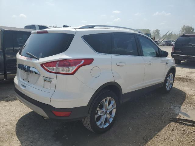 Photo 2 VIN: 1FMCU0JX9EUA29358 - FORD ESCAPE 