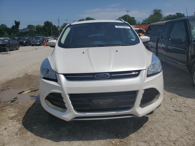 Photo 4 VIN: 1FMCU0JX9EUA29358 - FORD ESCAPE 