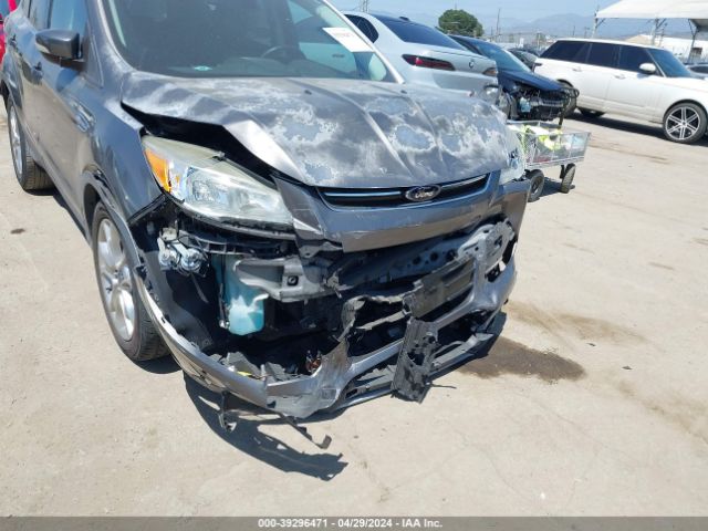 Photo 5 VIN: 1FMCU0JX9EUC22478 - FORD ESCAPE 