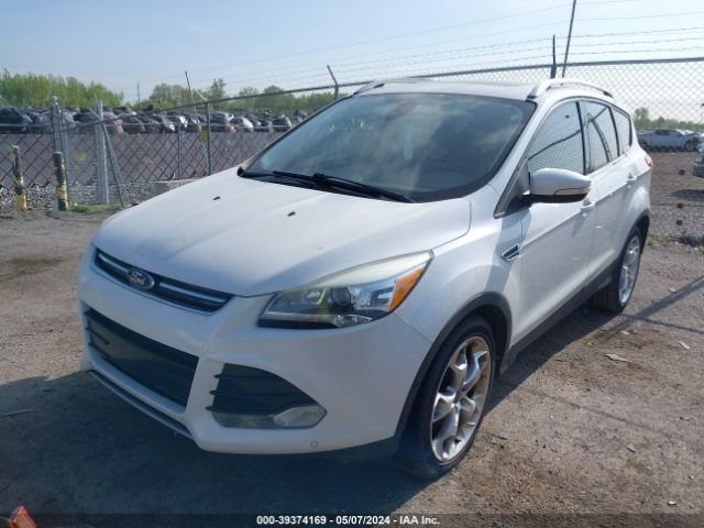 Photo 1 VIN: 1FMCU0JX9EUE24740 - FORD ESCAPE 