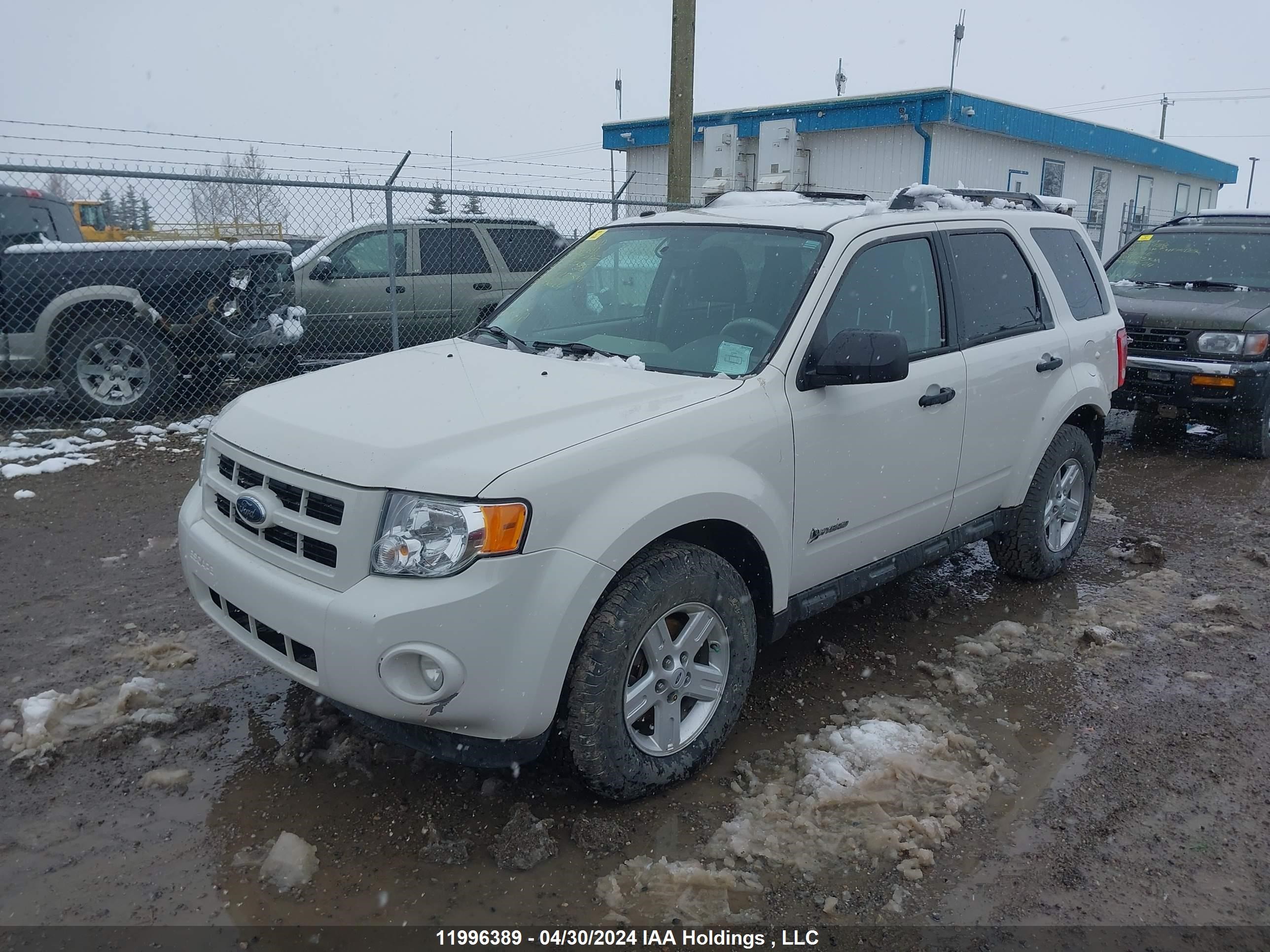 Photo 1 VIN: 1FMCU49329KC55736 - FORD ESCAPE 