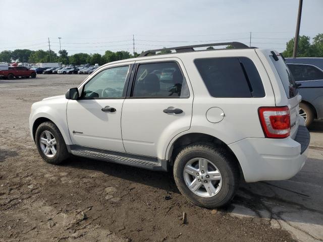 Photo 1 VIN: 1FMCU49389KA99167 - FORD ESCAPE 