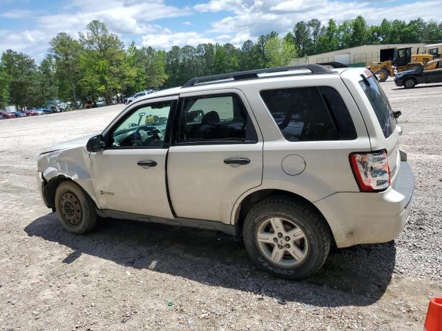 Photo 1 VIN: 1FMCU49389KC56289 - FORD ESCAPE 