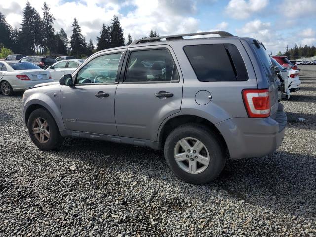 Photo 1 VIN: 1FMCU49H38KC91090 - FORD ESCAPE 