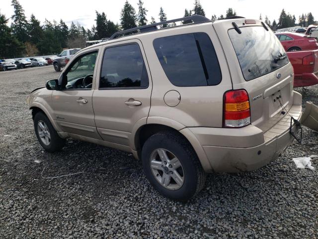 Photo 1 VIN: 1FMCU49H47KA23695 - FORD ESCAPE 