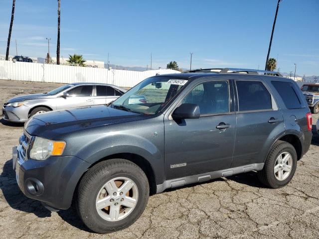 Photo 0 VIN: 1FMCU49H48KC16592 - FORD ESCAPE 