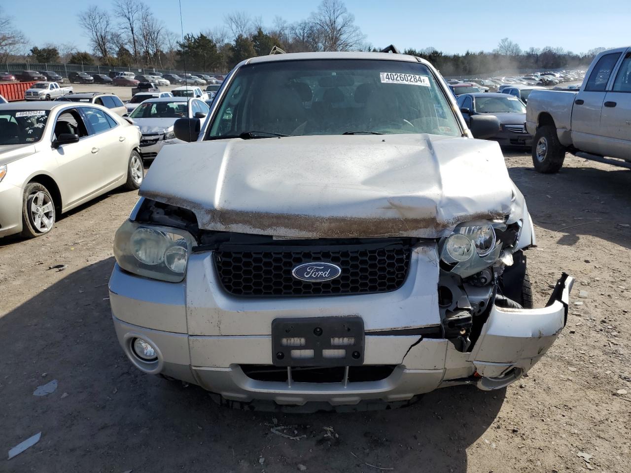 Photo 4 VIN: 1FMCU49H57KA42529 - FORD ESCAPE 