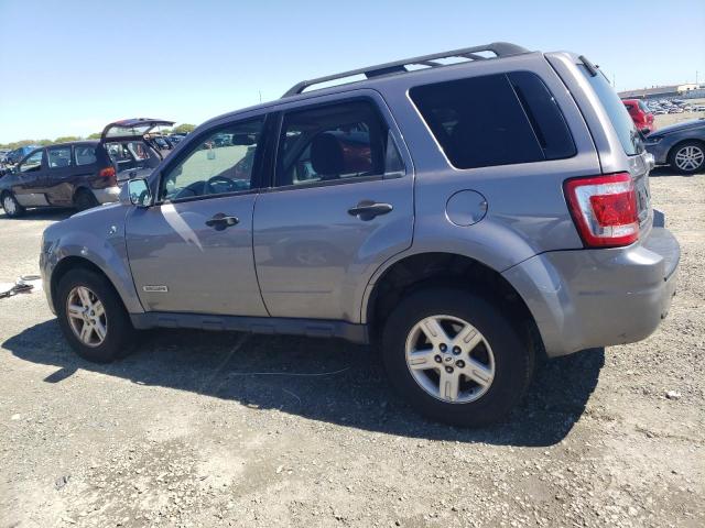 Photo 1 VIN: 1FMCU49H68KB98449 - FORD ESCAPE 