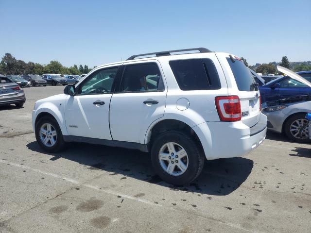 Photo 1 VIN: 1FMCU49H68KE45453 - FORD ESCAPE 