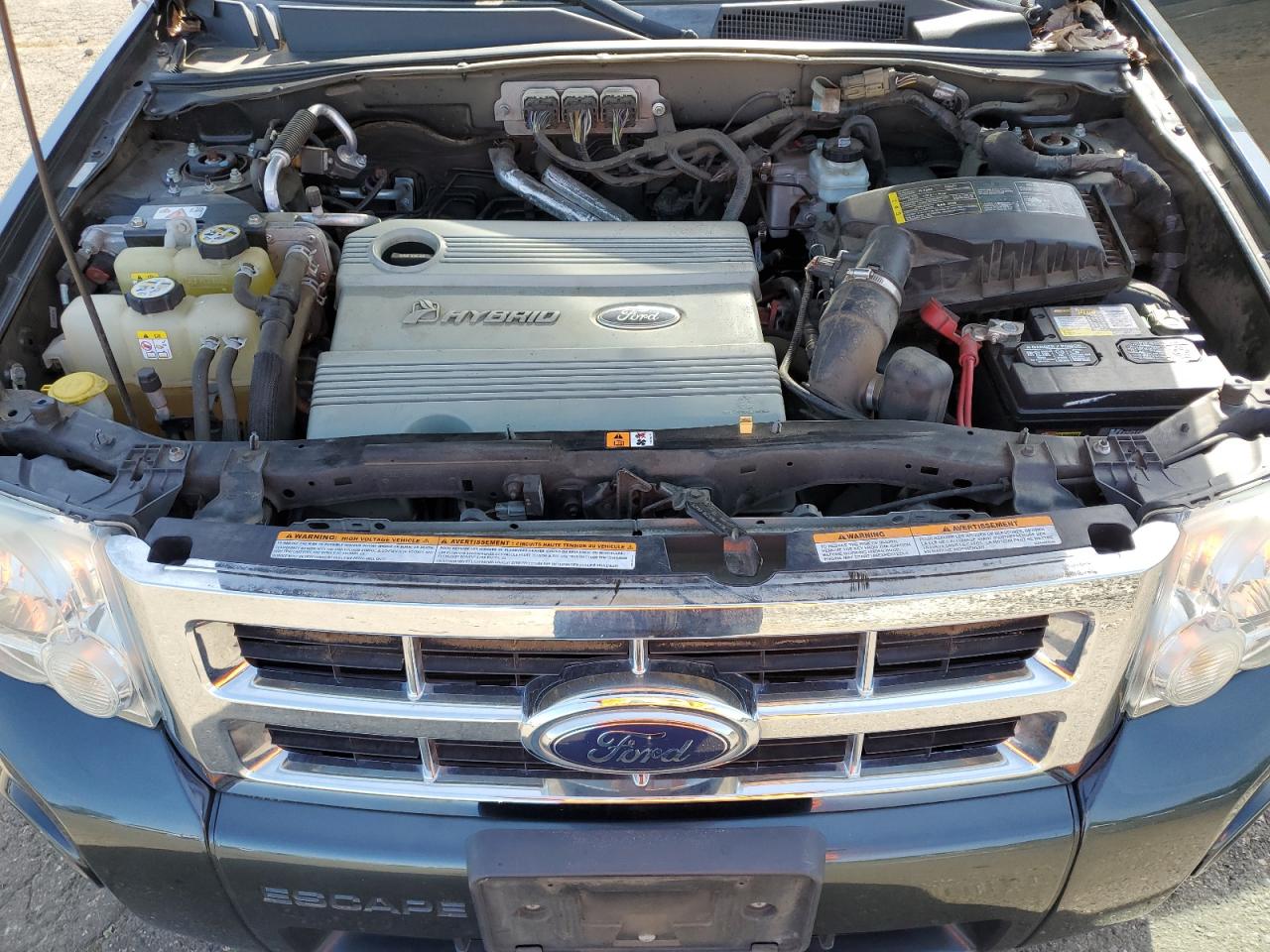 Photo 10 VIN: 1FMCU49H78KB45355 - FORD ESCAPE 