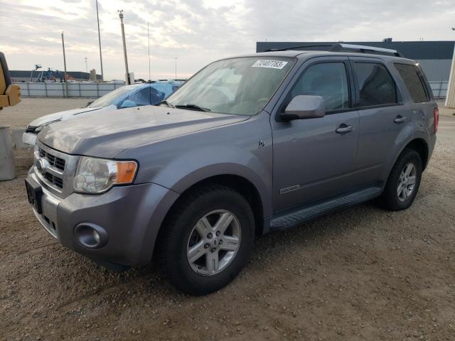 Photo 0 VIN: 1FMCU49H88KA58452 - FORD ESCAPE 