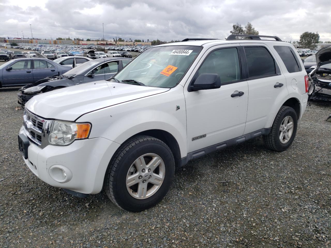 Photo 1 VIN: 1FMCU49H98KA37352 - FORD ESCAPE 