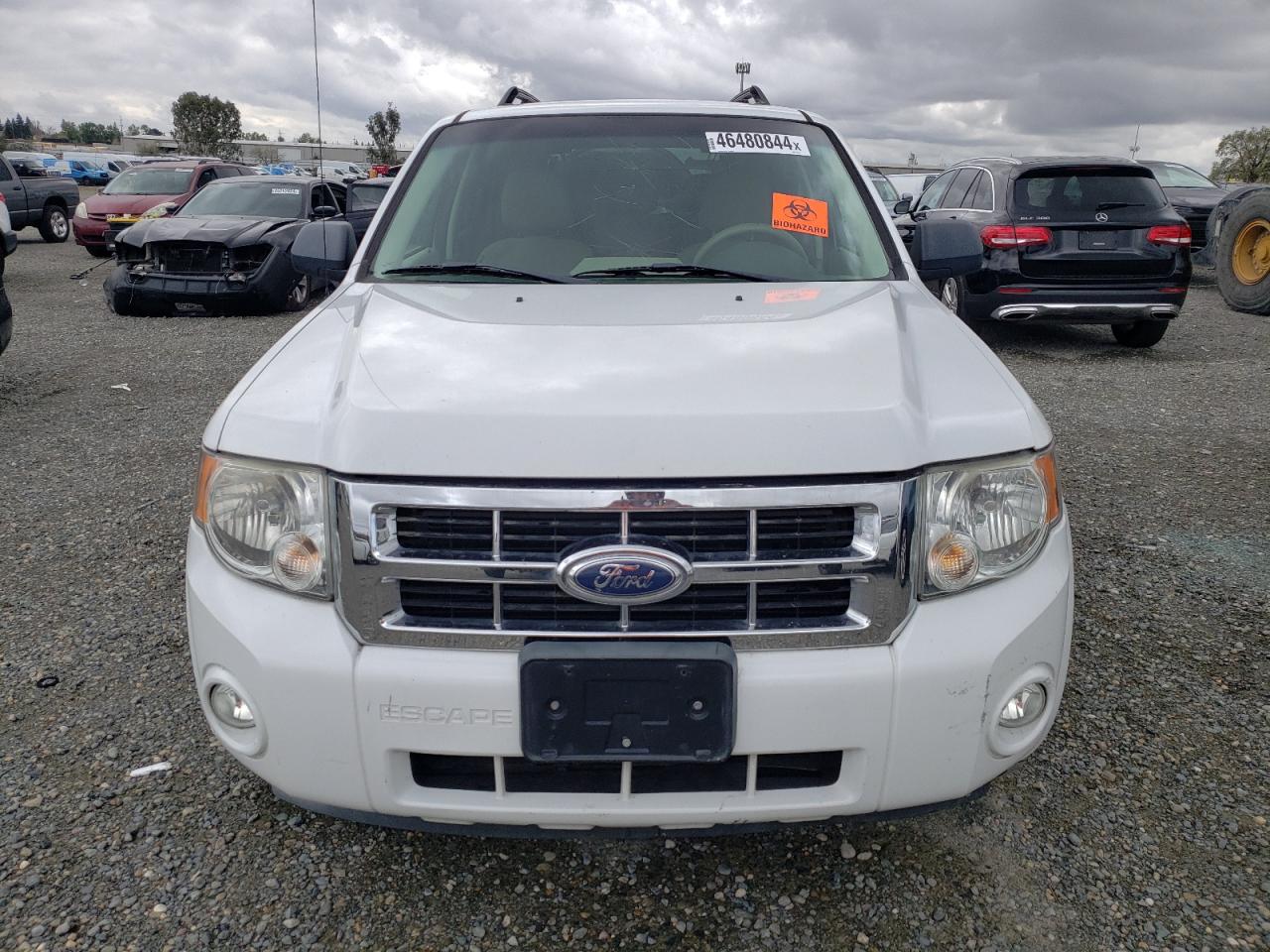 Photo 5 VIN: 1FMCU49H98KA37352 - FORD ESCAPE 