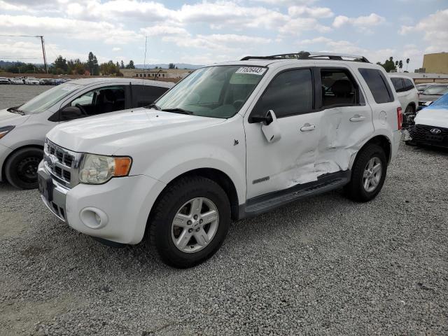 Photo 0 VIN: 1FMCU49H98KB50881 - FORD ESCAPE HEV 