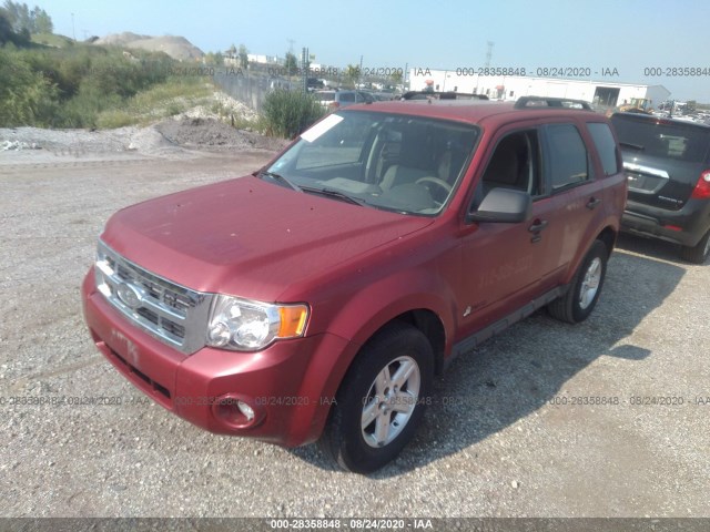 Photo 1 VIN: 1FMCU4K30CKB05951 - FORD ESCAPE 