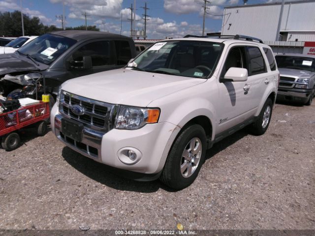 Photo 1 VIN: 1FMCU4K34BKC62672 - FORD ESCAPE 