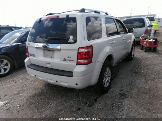 Photo 3 VIN: 1FMCU4K34BKC62672 - FORD ESCAPE 