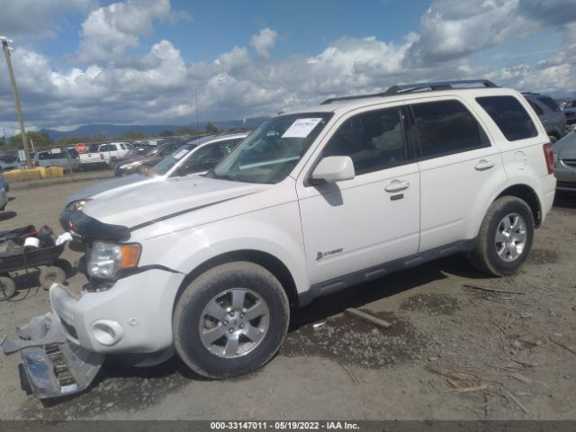 Photo 1 VIN: 1FMCU4K35BKC64088 - FORD ESCAPE 