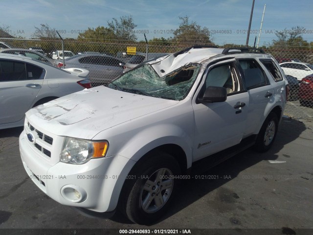 Photo 1 VIN: 1FMCU4K38BKB66365 - FORD ESCAPE 