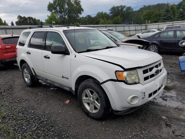 Photo 3 VIN: 1FMCU4K3XBKB34565 - FORD ESCAPE HYB 