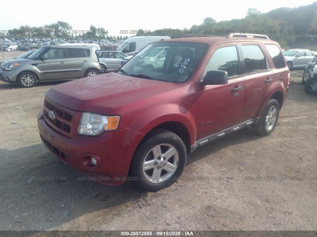 Photo 1 VIN: 1FMCU4K3XCKB20246 - FORD ESCAPE 