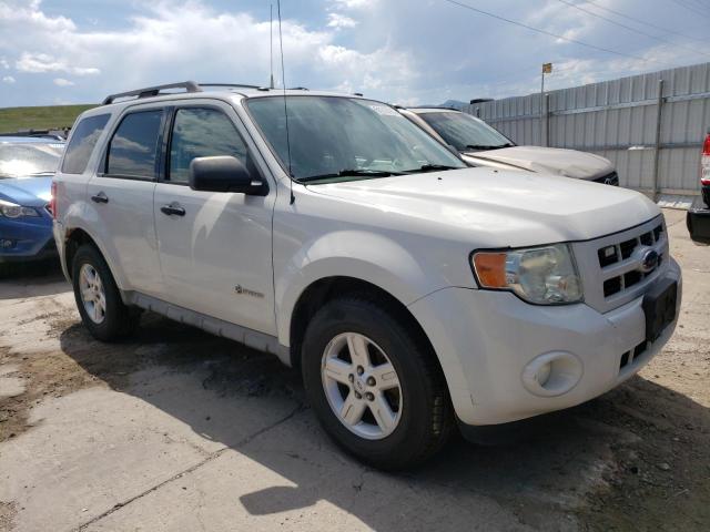 Photo 3 VIN: 1FMCU59379KC20146 - FORD ESCAPE 