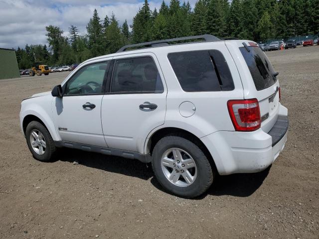 Photo 1 VIN: 1FMCU59389KA71326 - FORD ESCAPE 