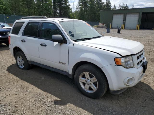 Photo 3 VIN: 1FMCU59389KA71326 - FORD ESCAPE 