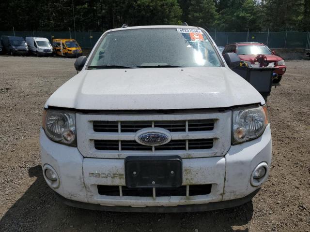 Photo 4 VIN: 1FMCU59389KA71326 - FORD ESCAPE 