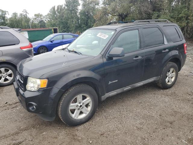 Photo 0 VIN: 1FMCU59399KA69777 - FORD ESCAPE HYB 