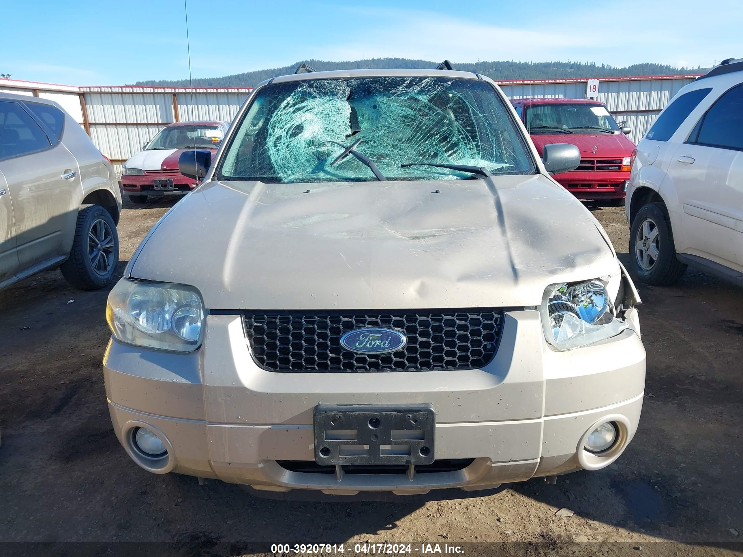 Photo 11 VIN: 1FMCU59H17KB34341 - FORD ESCAPE 