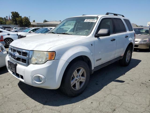 Photo 0 VIN: 1FMCU59H18KD75558 - FORD ESCAPE 