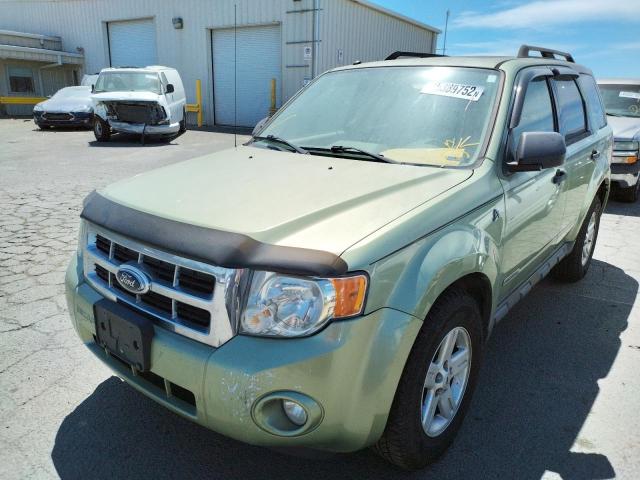 Photo 1 VIN: 1FMCU59H38KB45245 - FORD ESCAPE HEV 