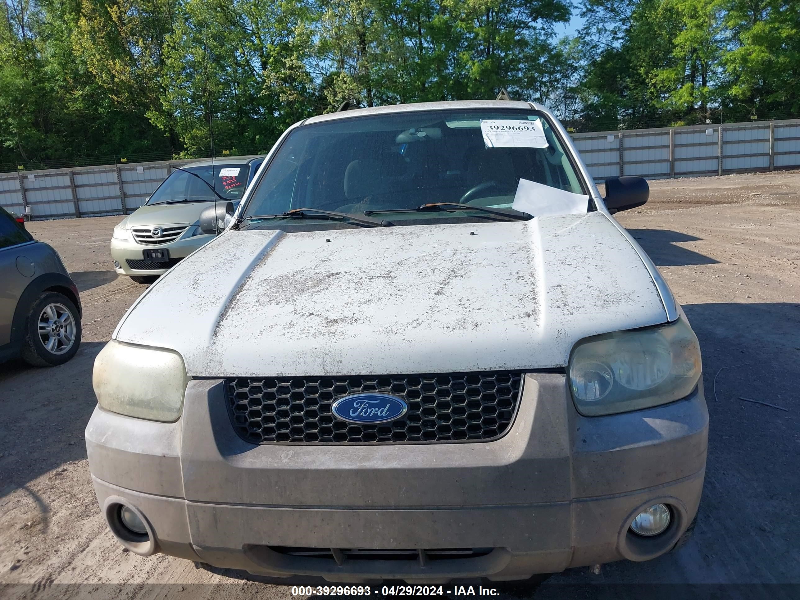 Photo 5 VIN: 1FMCU59H87KA45060 - FORD ESCAPE 