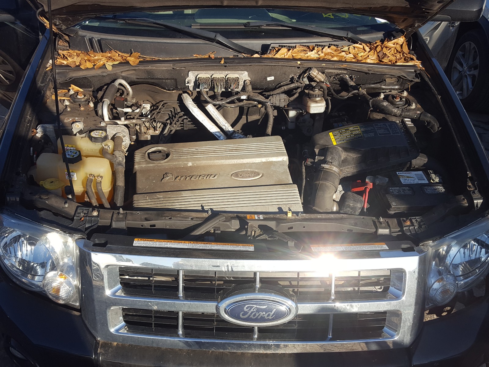 Photo 6 VIN: 1FMCU59HX8KE68790 - FORD ESCAPE HEV 