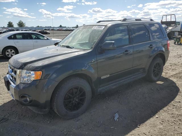 Photo 0 VIN: 1FMCU59HX8KE77750 - FORD ESCAPE 