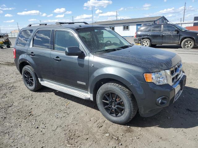 Photo 3 VIN: 1FMCU59HX8KE77750 - FORD ESCAPE 