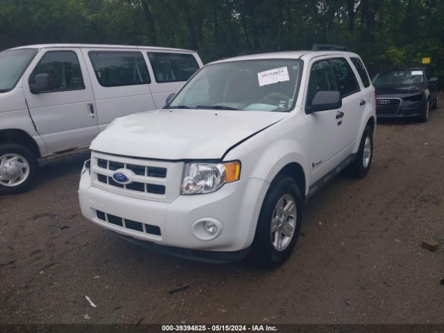 Photo 1 VIN: 1FMCU5K31BKC24919 - FORD ESCAPE HYBRID 