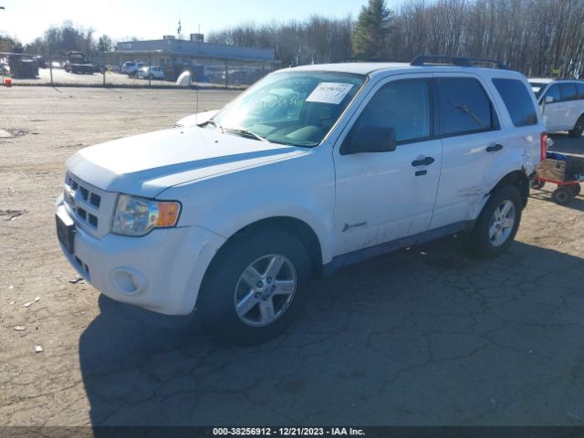 Photo 1 VIN: 1FMCU5K3XCKA23795 - FORD ESCAPE HYBRID 