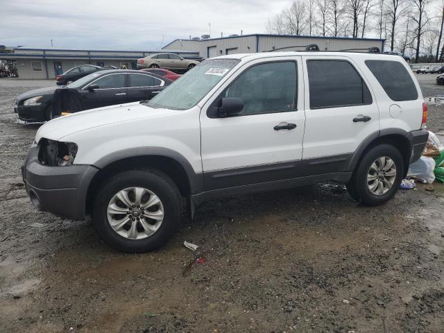 Photo 0 VIN: 1FMCU93105KC71948 - FORD ESCAPE 