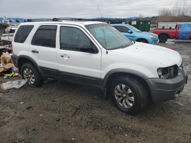 Photo 3 VIN: 1FMCU93105KC71948 - FORD ESCAPE 