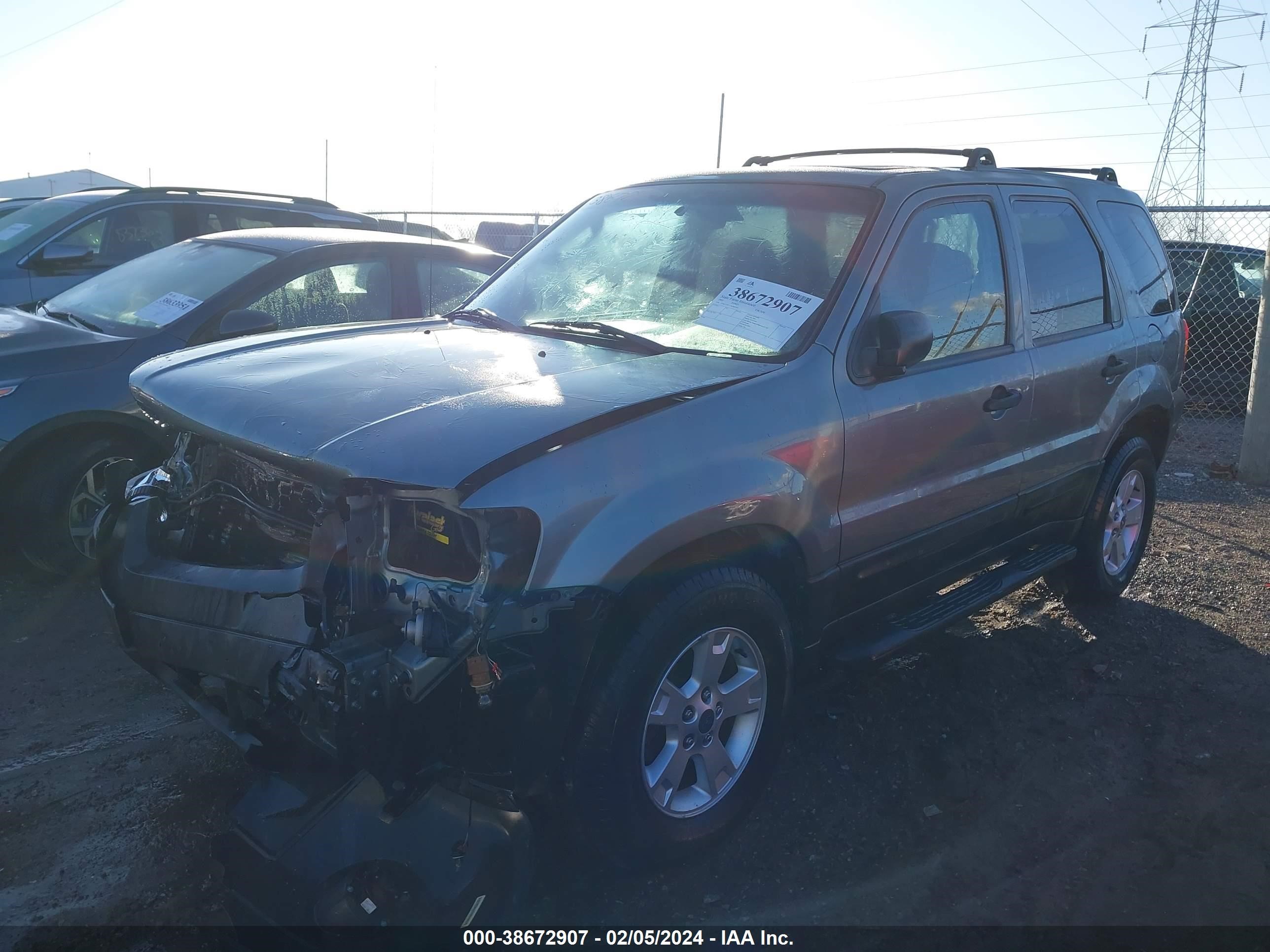 Photo 1 VIN: 1FMCU93115KB85564 - FORD ESCAPE 