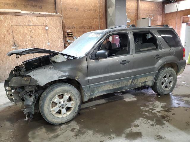 Photo 0 VIN: 1FMCU93135DA03920 - FORD ESCAPE 