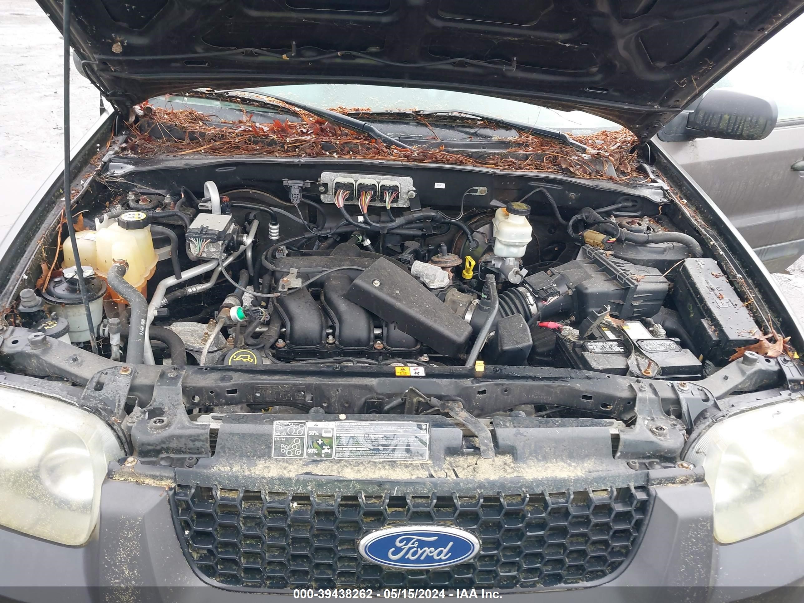 Photo 9 VIN: 1FMCU93146KD09568 - FORD ESCAPE 