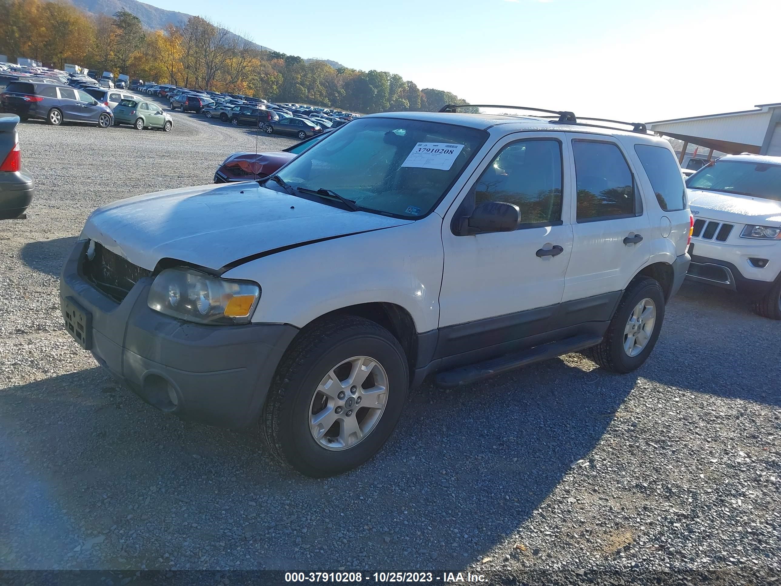 Photo 1 VIN: 1FMCU93156KC81800 - FORD ESCAPE 