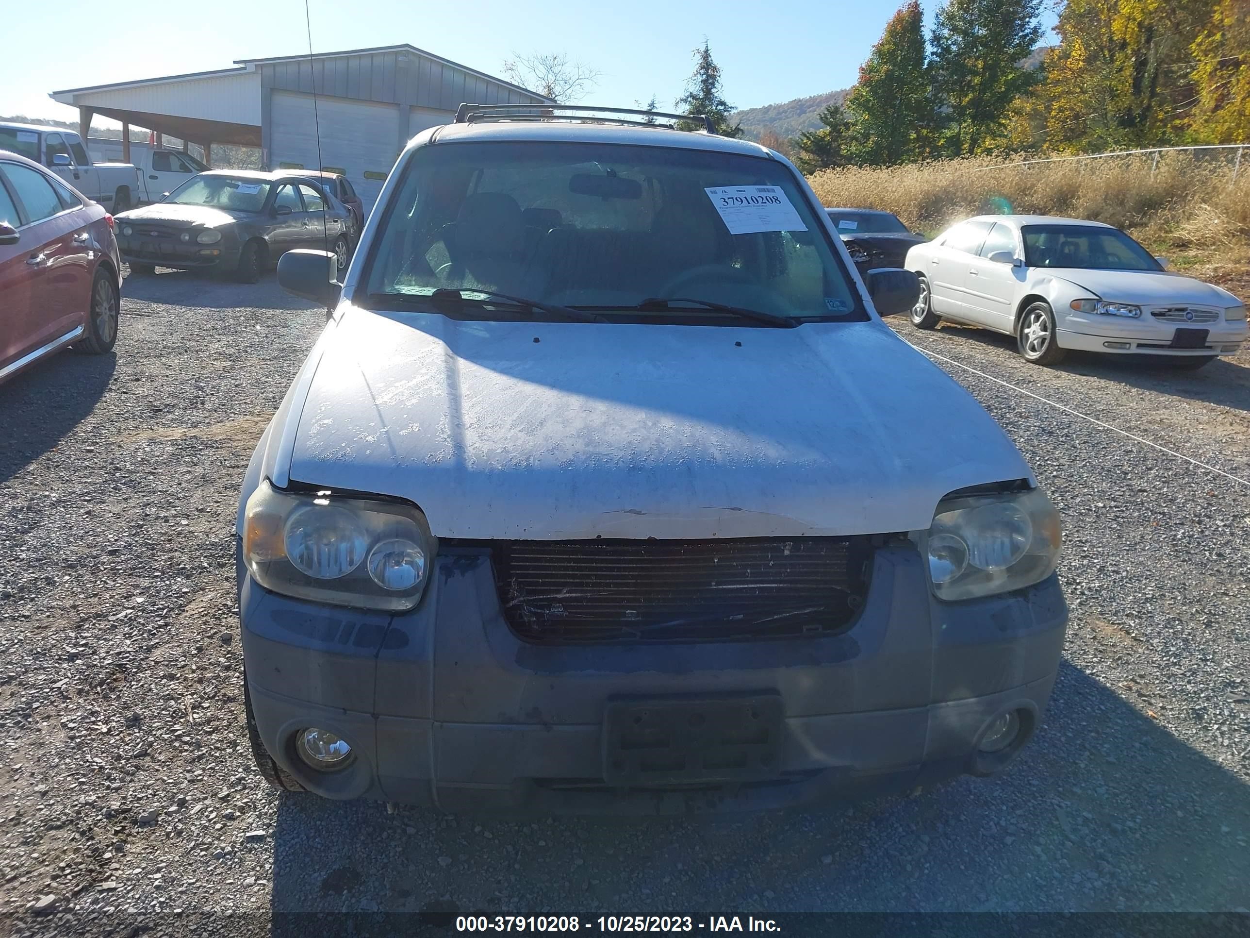 Photo 12 VIN: 1FMCU93156KC81800 - FORD ESCAPE 